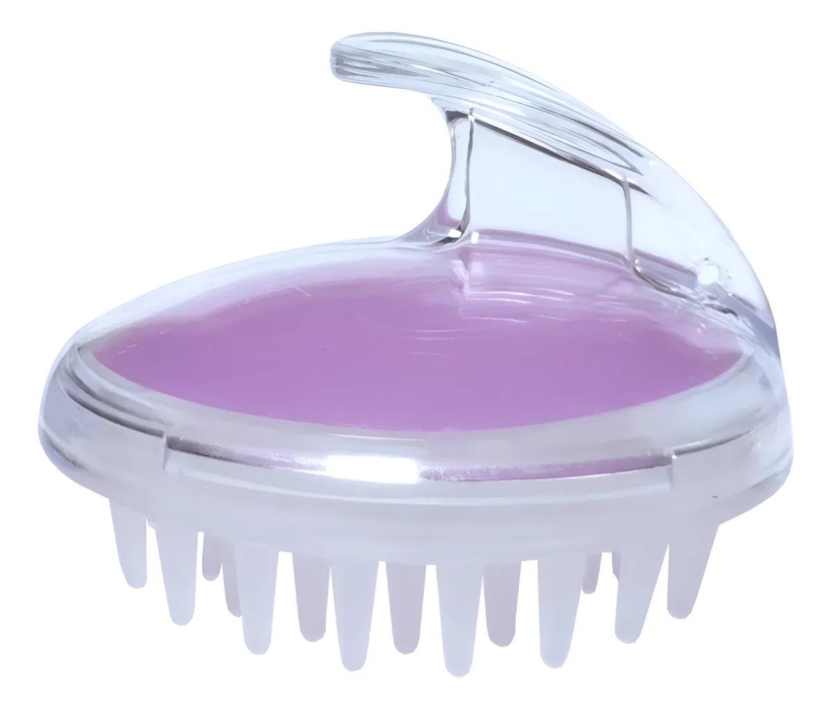 D498-TR-ESCVCAPILAR-DVS